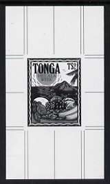Tonga 1991 Pile of Fruit 2p (from Heilala Week set) B&W photographic proof, scarce thus, as SG 1132, stamps on fruit, stamps on food