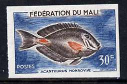 Mali 1960 30f Monrovian Surgeonfish unmounted mint imperf single as SG 8, stamps on birds