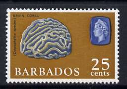 Barbados 1965 Brain Coral 25c (wmk upright) unmounted mint, SG 331, stamps on marine life, stamps on coral