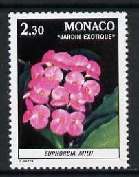 Monaco 1981 Euphorbia 2f 30 from Plants in Exotic Gardens set of 8 unmounted mint, SG 1551, stamps on , stamps on  stamps on flowers
