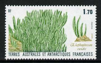French Southern & Antarctic Territories 1988 Elephant Grass 1f 70 unmounted mint, SG 232, stamps on flowers