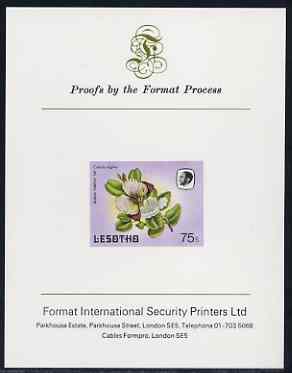 Lesotho 1984 Butterflies Queen Purple Tip 75s imperf proof mounted on Format International proof card as SG 576, stamps on butterflies