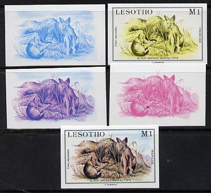 Lesotho 1984 Jackal Pups 1m from Baby Animals issue, the set of 5 imperf progressive comprising 2 individual colours, two 2-colour composites plus all four colours, as SG 615 unmounted mint*, stamps on , stamps on  stamps on animals, stamps on  stamps on dogs, stamps on  stamps on jackals