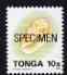 Tonga 1993-95 Bubble Cone 10s (from Marine Life def set) optd SPECIMEN, as SG 1221a (1995 imprint date) unmounted mint, stamps on marine life, stamps on shells