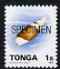 Tonga 1993-95 Chaste Mitre Shell 1s (from Marine Life def set) optd SPECIMEN, as SG 1218 (1993 imprint date) unmounted mint, stamps on marine life, stamps on shells
