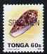 Tonga 1993-95 Princely Cone Shell 60s (from Marine Life def set) optd SPECIMEN, as SG 1227 (1993 imprint date) unmounted mint, stamps on marine life, stamps on shells