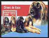 Togo 1999 Dogs (Afghan Hound) perf m/sheet unmounted mint, stamps on dogs