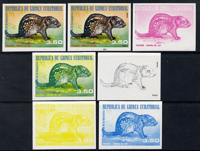 Equatorial Guinea 1977 South American Animals 3e50 (Pacaran\87) set of 7 imperf progressive proofs comprising the 4 individual colours plus 2, 3 and 4-colour composites, a superb and important group unmounted mint (as Mi 1251), stamps on animals