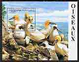 Cambodia 2000 Birds (Gannets) perf m/sheet unmounted mint, stamps on birds, stamps on gannets