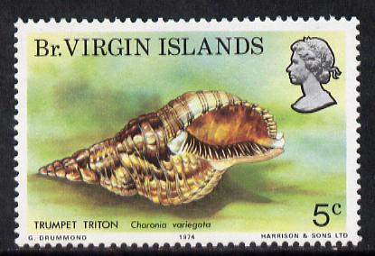 British Virgin Islands 1974 Seashells 5c with wmk error (type 53 of Lesotho) unmounted mint SG 317a, stamps on marine life, stamps on shells