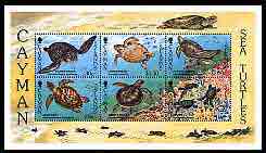 Cayman Islands 1995 Sea Turtles perf m/sheet unmounted mint, SG MS 799, stamps on marine life, stamps on turtles, stamps on coral, stamps on 