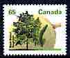 Canada 1991 Black walnut 65c from def set unmounted mint, SG 1471, stamps on fruit, stamps on trees, stamps on nuts, stamps on food