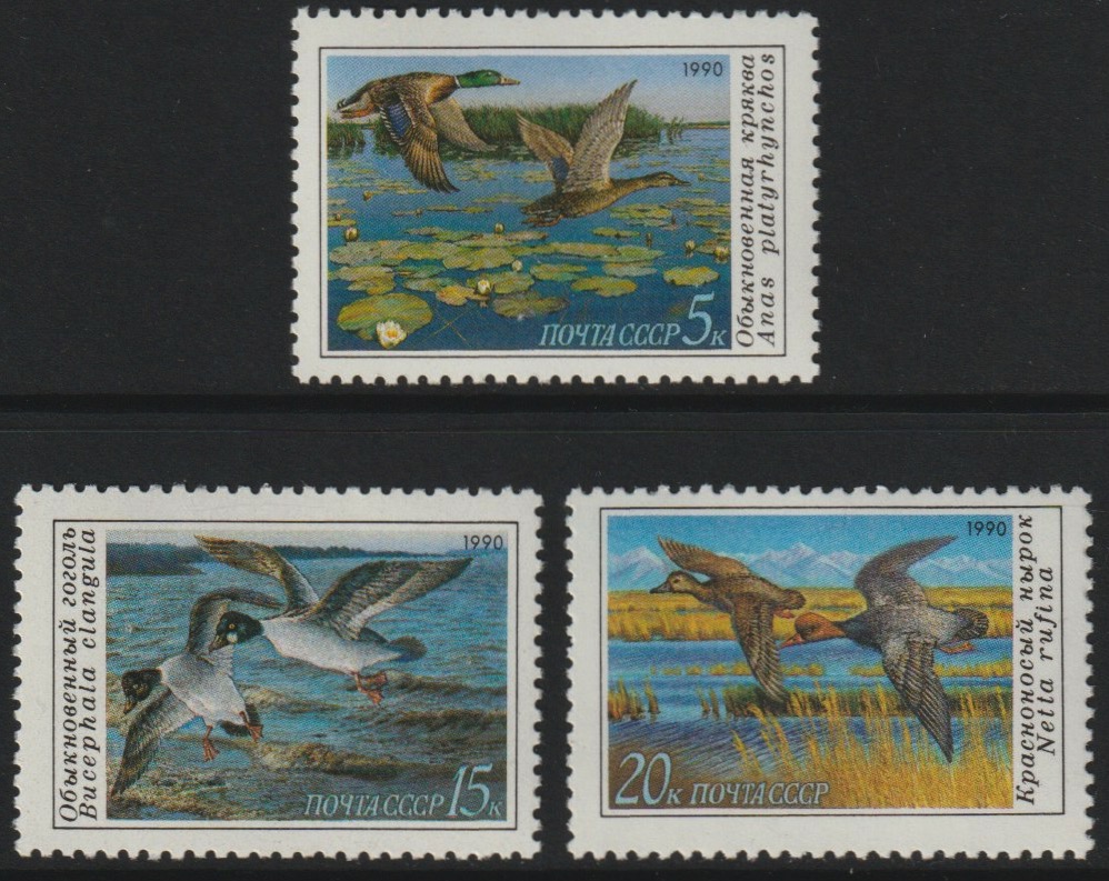 Russia 1990 Ducks (2nd issue) set of 3 unmounted mint, SG 6159-61, Mi 6099-7001*, stamps on birds, stamps on ducks