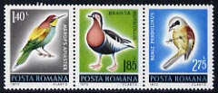 Rumania 1973 the 3 bird values from Protection of Nature set unmounted mint, SG 3979-81, stamps on birds, stamps on bee eater, stamps on goose, stamps on tit