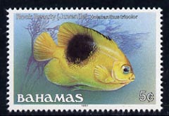 Bahamas 1987 Rock Beauty 5c (1987 imprint date) unmounted mint, SG 791, stamps on , stamps on  stamps on fish