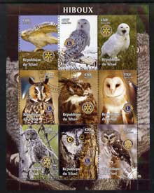 Chad 2004 Owls perf sheetlet containing 9 values each with Rotary or Lions Int Logos fine cto used, stamps on birds, stamps on birds of prey, stamps on owls, stamps on lions int, stamps on rotary