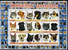 Somalia 2005 Domestic Animals #1 (Cats & Dogs) perf sheetlet containing 9 values unmounted mint, stamps on , stamps on  stamps on cats, stamps on  stamps on dogs