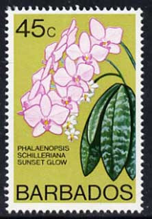 Barbados 1975-79 Sunset Glow Orchid 45c unmounted mint SG 519, stamps on flowers, stamps on orchids