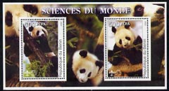 Benin 2002 Pandas perf m/sheet containing 2 values each with Scout Logo, unmounted mint, stamps on animals, stamps on bears, stamps on pandas, stamps on scouts