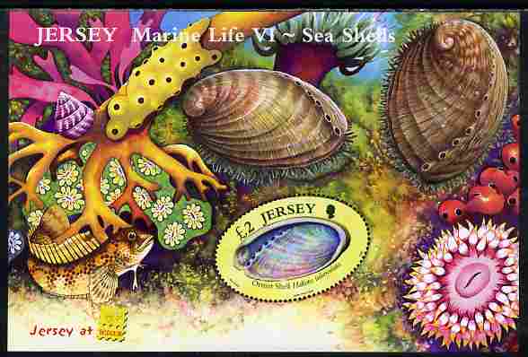 Jersey 2006 Marine Life #6 - Shells perf m/sheet with Jersey at Belgica imprint unmounted mint SG MS 1270a, stamps on marine life, stamps on shells, stamps on stamp exhibitions