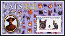 Somalia 2002 Domestic Cats of the World perf s/sheet #05 with Scout Logo & Baden Powell in background, unmounted mint, stamps on cats, stamps on scouts