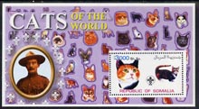 Somalia 2002 Domestic Cats of the World perf s/sheet #06 with Scout Logo & Baden Powell in background, unmounted mint, stamps on cats, stamps on scouts