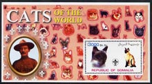 Somalia 2002 Domestic Cats of the World perf s/sheet #12 with Scout Logo & Baden Powell in background, unmounted mint, stamps on cats, stamps on scouts