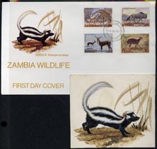Zambia 1983 original artwork by Mrs G Ellison for illustration as used for Wildlife first day cover (Zorilla) 4.5 x 3.75 inches, stamps on animals