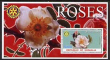Somalia 2002 Roses #1 perf s/sheet (with Rotary Logo) fine unmounted mint, stamps on flowers, stamps on roses, stamps on rotary