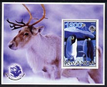 Rwanda 2005 Penguins #01 perf m/sheet with Scout Logo, background shows Reindeer & Roald Amundsen unmounted mint, stamps on scouts, stamps on deer, stamps on penguins, stamps on birds, stamps on polar, stamps on explorers