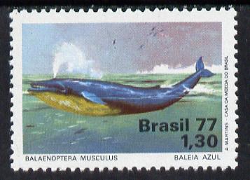 Brazil 1977 Blue Whale unmounted mint, SG 1663*, stamps on animals    marine-life      whales