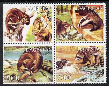 Dagestan Republic 1999 Racoons perf set of 4 values unmounted mint, stamps on animals, stamps on racoon