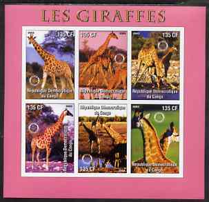 Congo 2003 Giraffes imperf sheetlet #02 (pink border) containing 6 values each with Rotary Logo, unmounted mint, stamps on rotary, stamps on animals, stamps on giraffes
