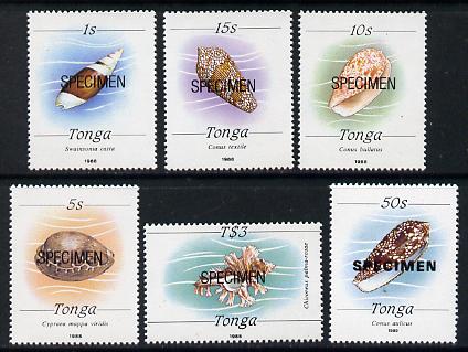 Tonga 1988 Marine Life (Shells) 6 values (1s, 5s, 10s, 15s, 50s & T$3) opt'd SPECIMEN, between SG 999 & 1016) unmounted mint, stamps on , stamps on  stamps on marine-life, stamps on  stamps on shells