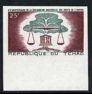 Chad 1963 Human Rights 25f marginal imperf single unmounted mint, as SG106, stamps on human rights, stamps on justice