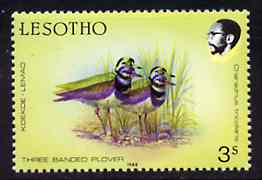 Lesotho 1988 Birds 3s Plover superb colour shift resulting in two birds unmounted mint  SG 792var* (see also #86567), stamps on birds, stamps on 