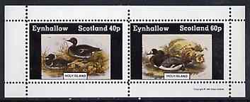 Eynhallow 1981 Ducks #5 perf sheetlet containing set of 2 values unmounted mint, stamps on birds, stamps on ducks