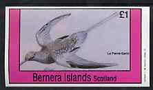 Bernera 1981 Birds #36 imperf souvenir sheet (Â£1 value) unmounted mint, stamps on birds