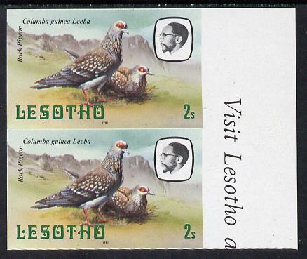 Lesotho 1981 Rock Pigeon 2s def in unmounted mint imperf pair* (SG 438), stamps on lesotho, stamps on birds, stamps on pigeons, stamps on 