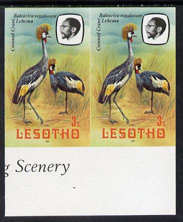 Lesotho 1981 Crowned Crane 3s def in unmounted mint imperf pair* (SG 439), stamps on , stamps on  stamps on lesotho, stamps on  stamps on birds, stamps on  stamps on cranes, stamps on  stamps on 