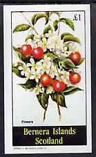 Bernera 1982 Flowers #24 imperf deluxe sheet (Â£2 value) unmounted mint, stamps on flowers