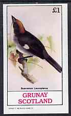 Grunay 1982 Birds #09 (Brush Finch) imperf souvenir sheet (Â£1 value) unmounted mint, stamps on birds