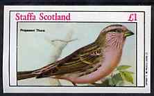 Staffa 1982 Birds #82 (Asiatic Finch) imperf souvenir sheet (Â£1 value) unmounted mint, stamps on birds