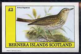 Bernera 1982 Birds #48 (Pipit) imperf deluxe sheet (Â£2 value) unmounted mint, stamps on birds