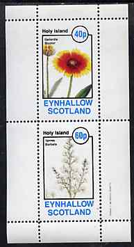 Eynhallow 1982 Flowers #32 perf set of 2 values unmounted mint, stamps on flowers