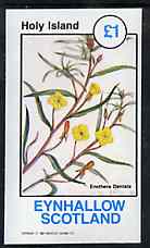 Eynhallow 1982 Flowers #32 imperf souvenir sheet (Â£1 value) unmounted mint, stamps on flowers