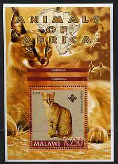 Malawi 2005 Animals of Africa - Golden Cat perf m/sheet with Scout Logo, Rhino & Ape in background, unmounted mint, stamps on scouts, stamps on animals, stamps on cats, stamps on rhinos, stamps on apes