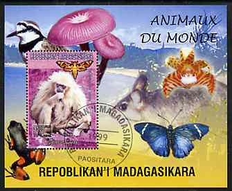 Madagascar 1999 Animals of the World #04 perf m/sheet showing Gibbon Monkey, background shows Frog, Bird, Butterfly, Fungi & Orchid, fine cto used, stamps on flowers, stamps on orchids, stamps on animals, stamps on apes, stamps on frogs, stamps on fungi, stamps on butterflies, stamps on 