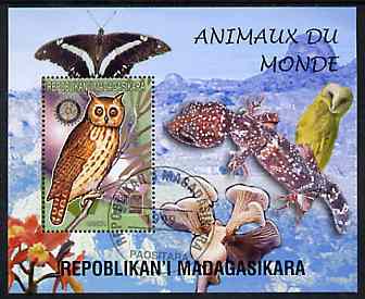 Madagascar 1999 Animals of the World #07 perf m/sheet showing Owl (Hanka) with Rotary Logo, background shows Owl, Butterfly, Reptile, Fungi & Orchid, fine cto used, stamps on flowers, stamps on orchids, stamps on animals, stamps on reptiles, stamps on fungi, stamps on butterflies, stamps on owls, stamps on birds of prey, stamps on rotary