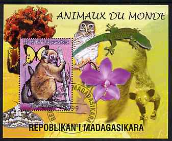 Madagascar 1999 Animals of the World #09 perf m/sheet showing Lemur #3, background shows Owl, Butterfly, Lizard & Orchid, fine cto used, stamps on flowers, stamps on orchids, stamps on animals, stamps on apes, stamps on owls, stamps on prey, stamps on butterflies, stamps on lizards, stamps on birds of prey, stamps on reptiles